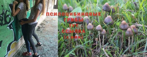 герыч Козловка