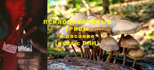 герыч Козловка