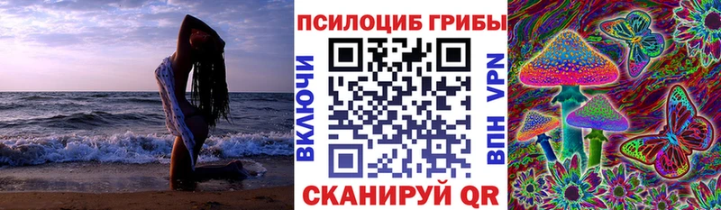 Псилоцибиновые грибы Magic Shrooms  Купить  Малмыж 