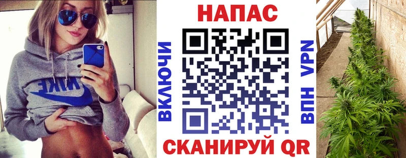 Марихуана сатива Малмыж